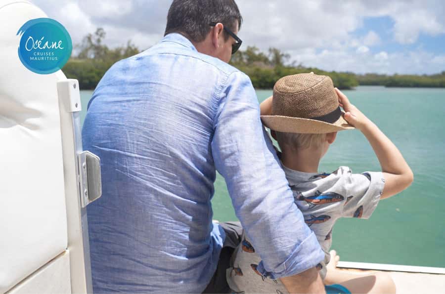 5 Islands Tour: New OCÉANE Private Pontoon Boat cruise - The Grand River South East waterfall comes first