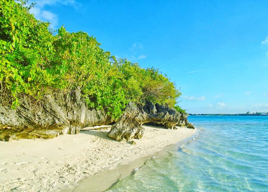 5 Islands Trip & Ile aux Cerfs inc Lunch, Drinks & Transport - The five details that shape the day