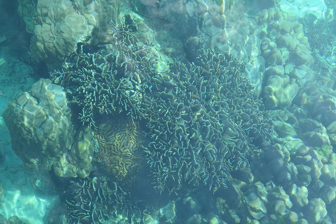 A full day Kradan + 4 island (By longtail Boat) - Five islands from Koh Lanta for $32.19