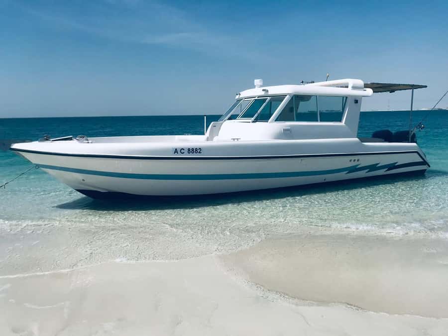 Abu Dhabi: 4-Hour Guided Cruise & Island Hopping - Why this cruise works in Abu Dhabi