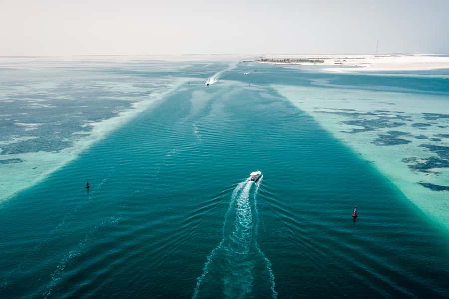 Abu Dhabi: 4-Hour Guided Cruise & Island Hopping - Etihad Towers and Qasr Al Watan from the water