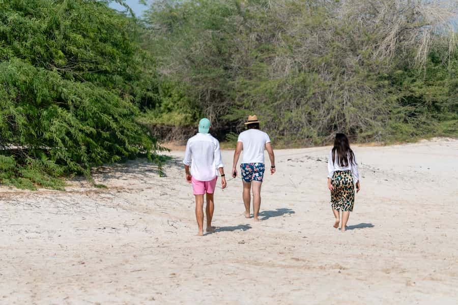 Abu Dhabi: 4-Hour Guided Cruise & Island Hopping - What the crew adds to the day