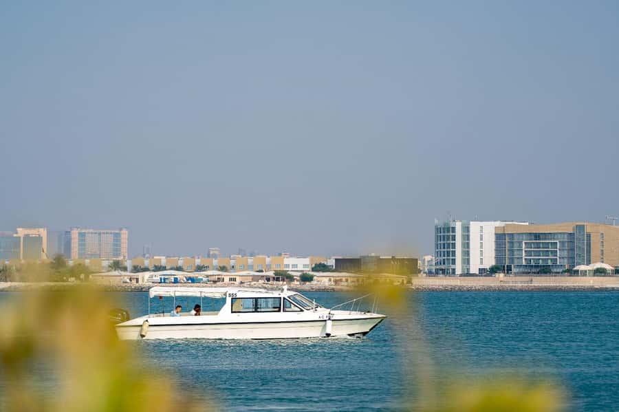 Abu Dhabi: 4-Hour Guided Cruise & Island Hopping - Is $108 good value?