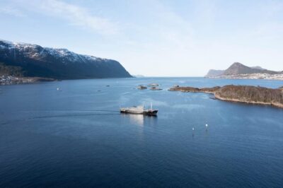 Ålesund: Archipelago Cruise
