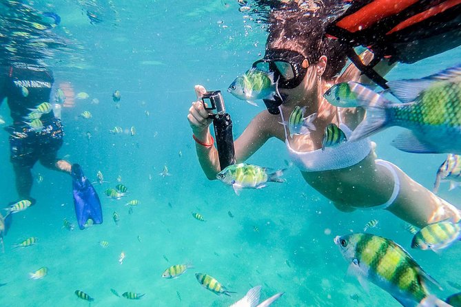 All-in Phi Phi, Maiton, MayaBay, Khai, Bamboo islands Tour - Maya Bay: famous scenery, firm limits