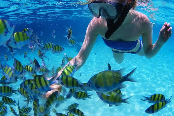 All-Inclusive San Blas Islands Day Tour from Panama City - The 5:00 a.m. pickup and mountain road