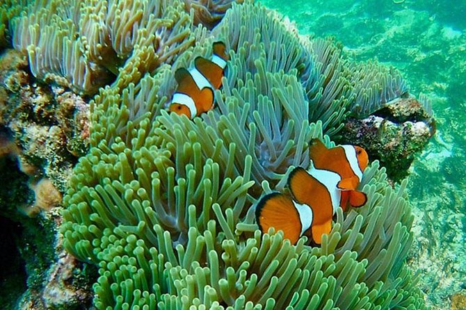 Amazing Krabi 7 Islands One Day Snorkeling Tour By Big Longtail Boat - What $39.09 Really Buys You