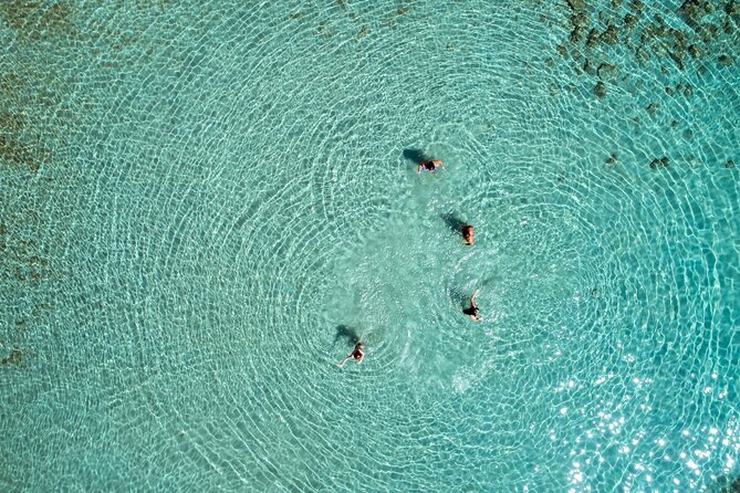 Athens Three-Island Cruise: Hydra, Poros & Aegina w/Lunch Incl - Who will enjoy this day most