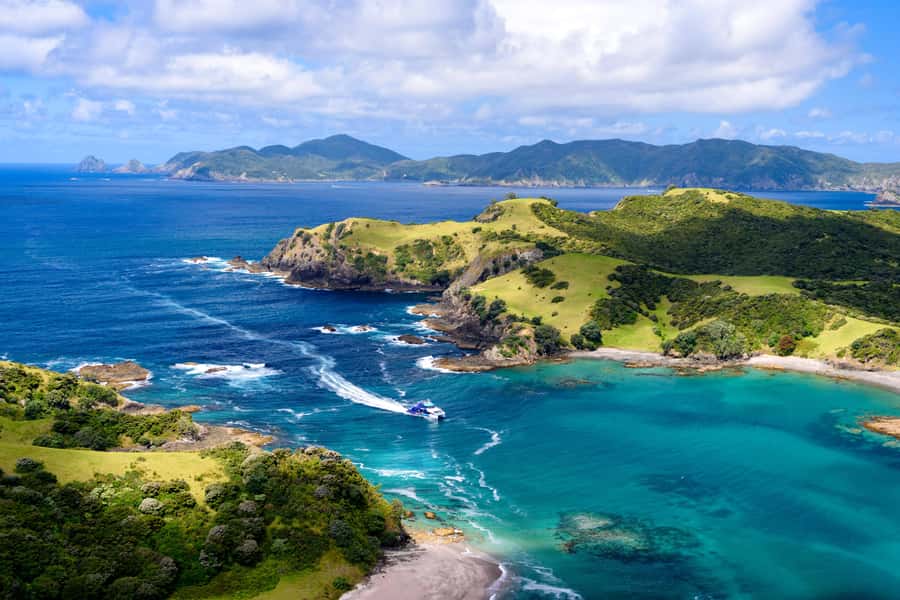 Auckland: Bay of Islands Day Tour with Dolphin Cruise - Crossing Auckland Harbour and Heading North