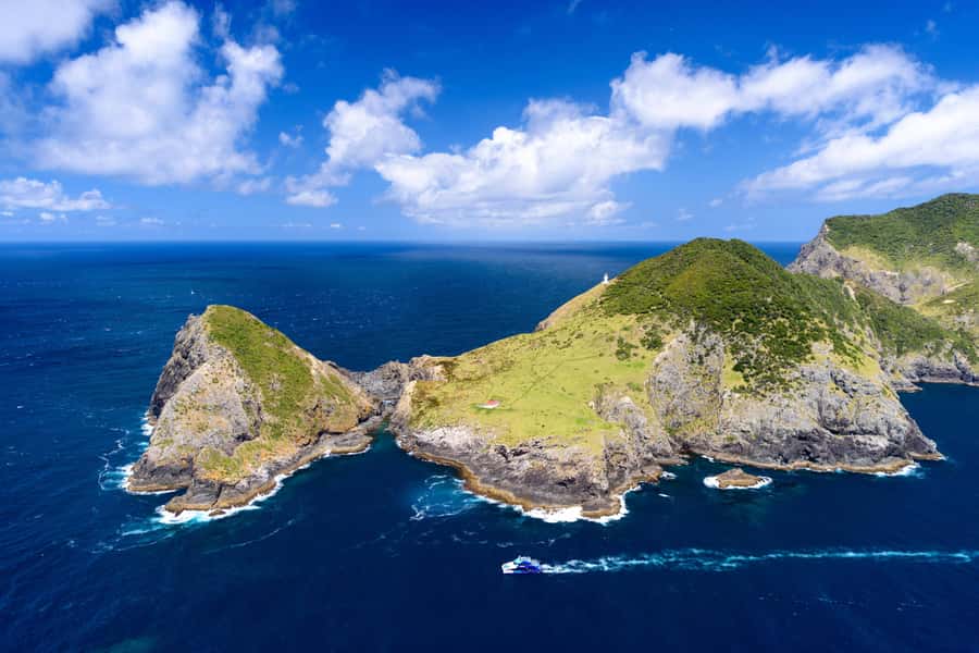 Auckland: Bay of Islands Day Tour with Dolphin Cruise - The Return to Auckland
