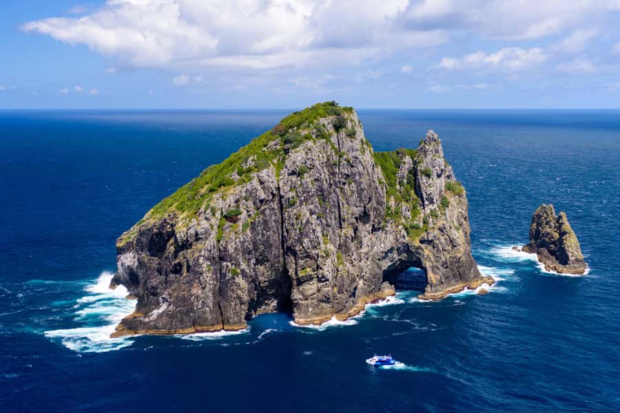 Auckland: Bay of Islands Day Tour with Dolphin Cruise - Who Should Book This Experience?