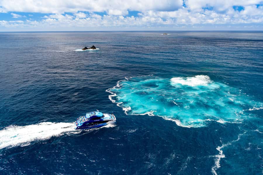 Auckland: Bay of Islands Day Tour with Dolphin Cruise - Small Details That Make the Day Better