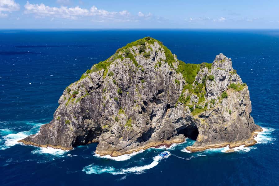 Auckland: Bay of Islands Day Tour with Dolphin Cruise - FAQ
