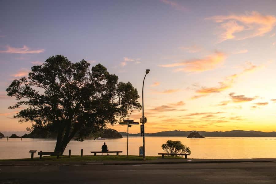 Auckland: Bay of Islands Tour & Cruise 2Day Small Group Tour - Waipoua Forest and the Tane Mahuta change