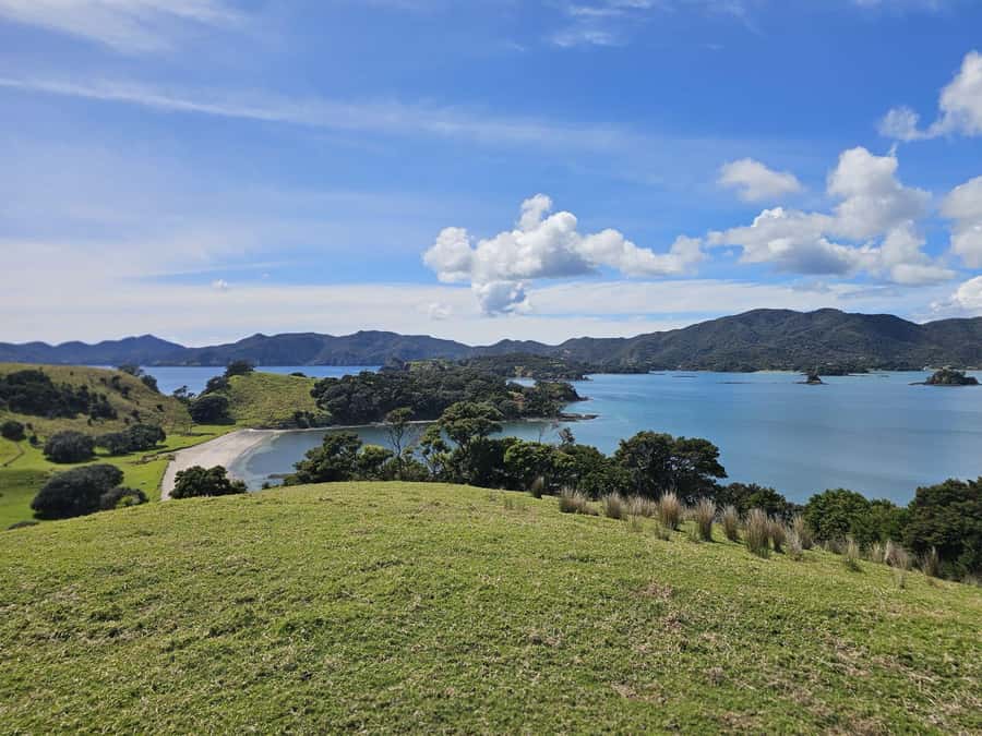 Auckland: Bay of Islands Tour & Cruise 2Day Small Group Tour - Day two: a 4.5-hour cruise from Paihia