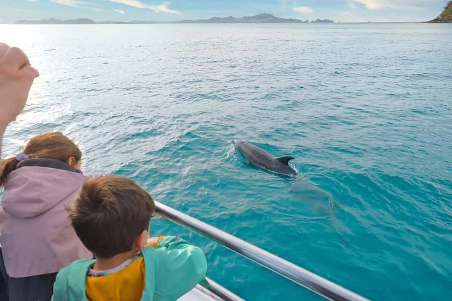 Auckland: Bay of Islands Tour & Cruise 2Day Small Group Tour - What the $439 price really covers