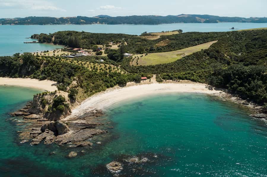 Auckland: Tikapa Moana Whales, Dolphins and Islands Cruise - Choosing the right departure time