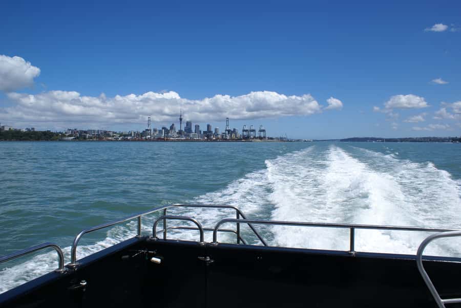 Auckland: Tikapa Moana Whales, Dolphins and Islands Cruise - Is $92 good value?