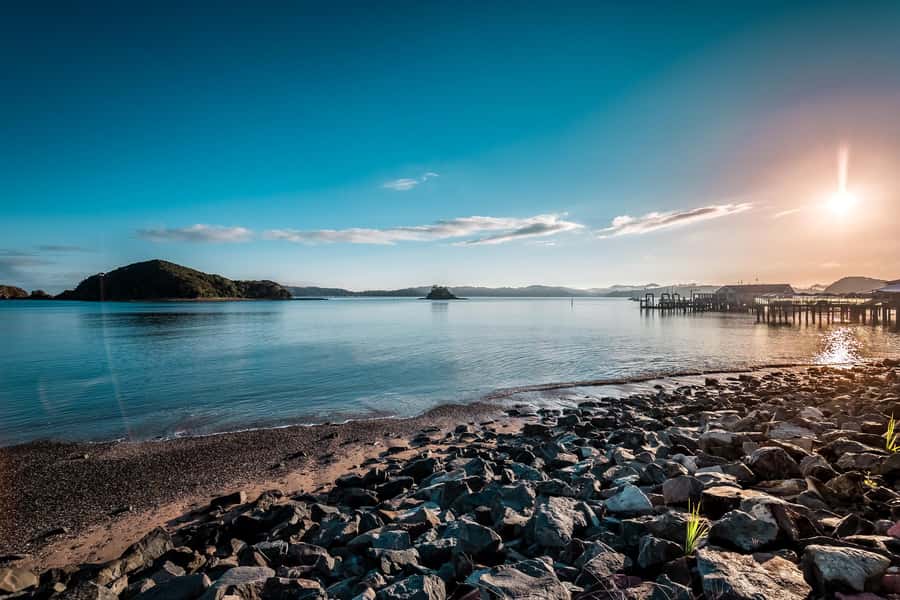 Bay of Islands: 1 Hour Scenic Bay of Islands Tour - Opua and its yacht harbor