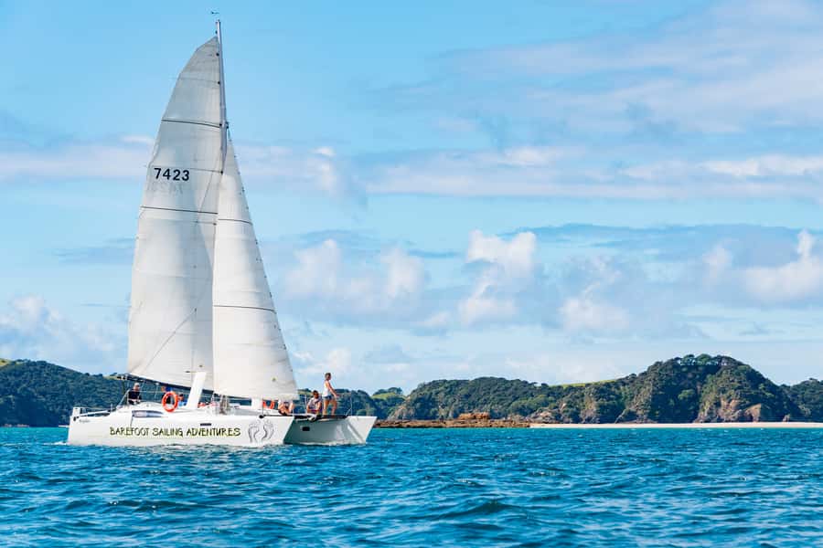 Bay of Islands: Catamaran Sail, Wildlife Island & Lunch - The two-hour wildlife sanctuary island stop