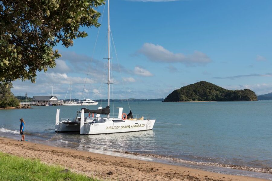 Bay of Islands: Catamaran Sail, Wildlife Island & Lunch - Price and value at $134