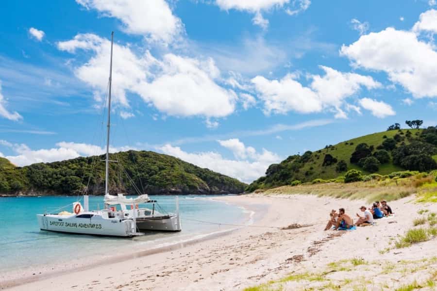 Bay of Islands: Catamaran Sail, Wildlife Island & Lunch - Who should book this day on the water