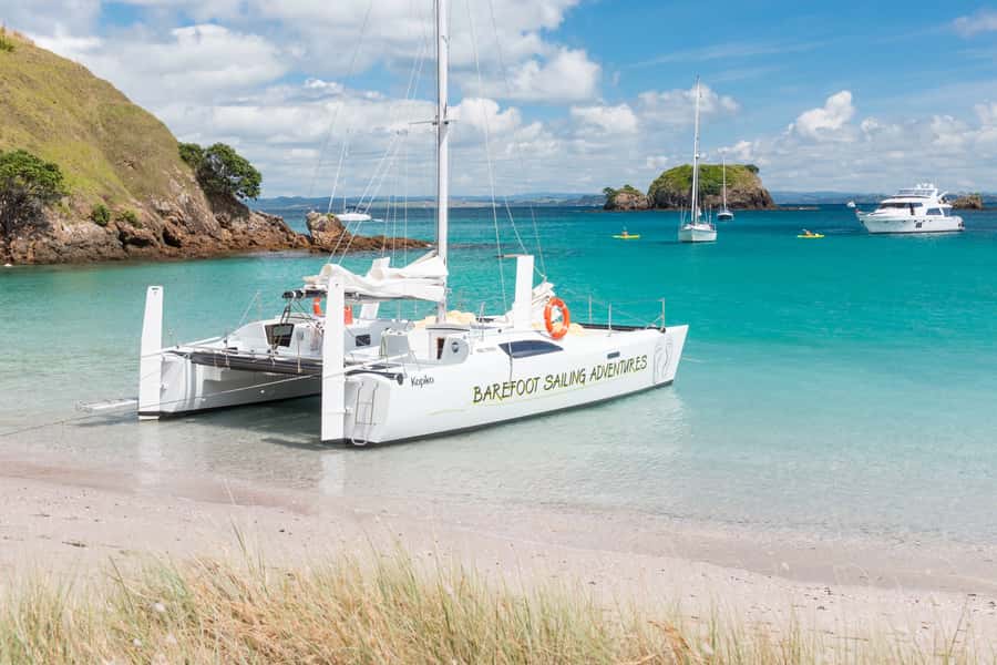 Bay of Islands: Catamaran Sail, Wildlife Island & Lunch - Should you book Barefoot Sailing Adventures?