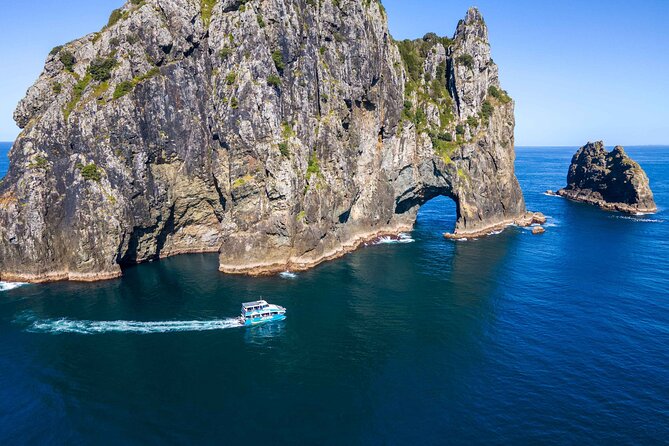 Bay of Islands Cruise & Island Tour - Snorkel, Hike,Swim,Wildlife - Key points before you book