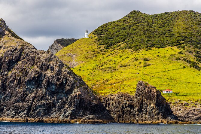 Bay of Islands Cruise & Island Tour - Snorkel, Hike,Swim,Wildlife - The Hole in the Rock and Cape Brett