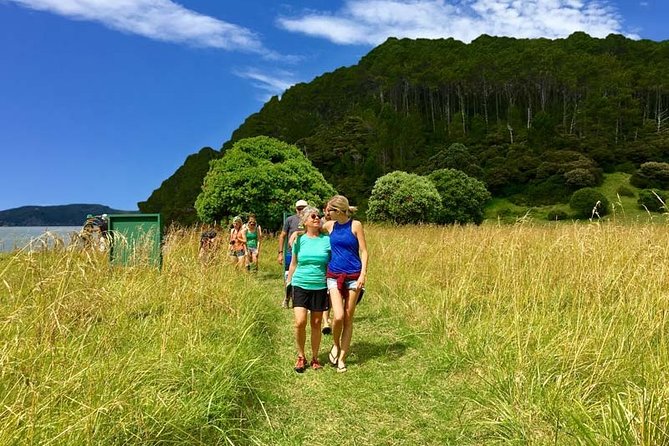 Bay of Islands Cruise & Island Tour - Snorkel, Hike,Swim,Wildlife - Is the ride comfortable?