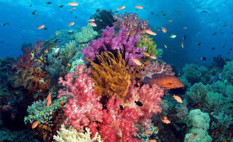 Best seller Phu Quoc Snorkeling Three Islands by Boat Tour - What this Phu Quoc boat trip is really like
