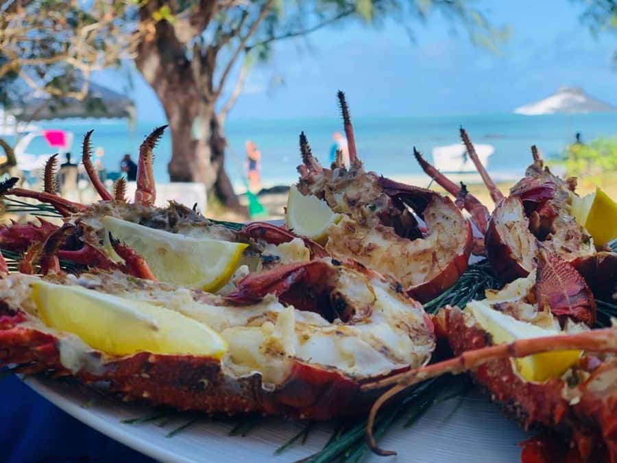 Blue bay: boat trip for ile au cerf (5 islands, barbecue) - Who should book this boat trip?