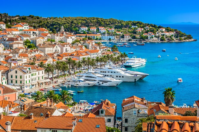Blue Cave and Hvar 5 Islands Tour from Split - Budikovac, the best stop for water time
