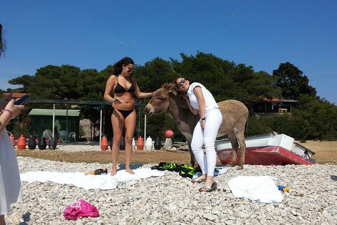 Blue Cave, Hvar and Five islands - Small-Group Tour From Split - Green Cave and Milna depend on timing