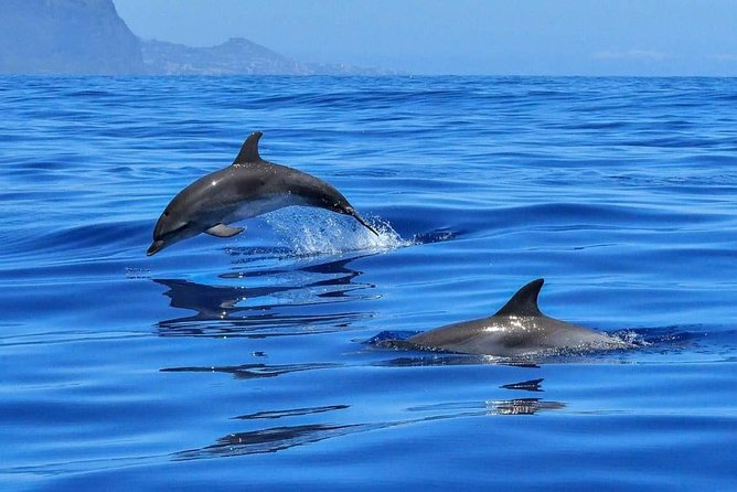 BLUE LAGON & 3 islands full day private speedboat tour - The day at a glance