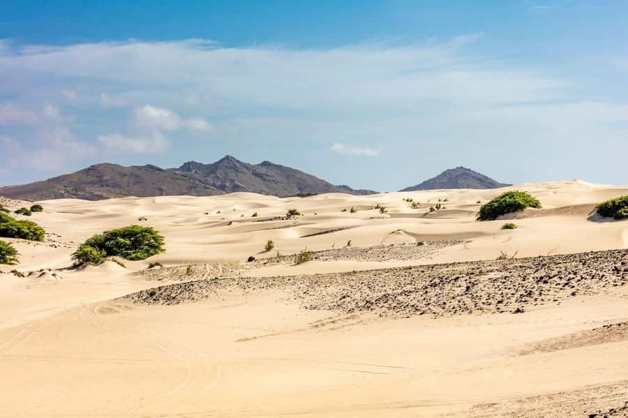 Boa Vista Full Day 4x4 Island Tour with Beachfront Lunch - What this Boa Vista 4x4 tour really offers