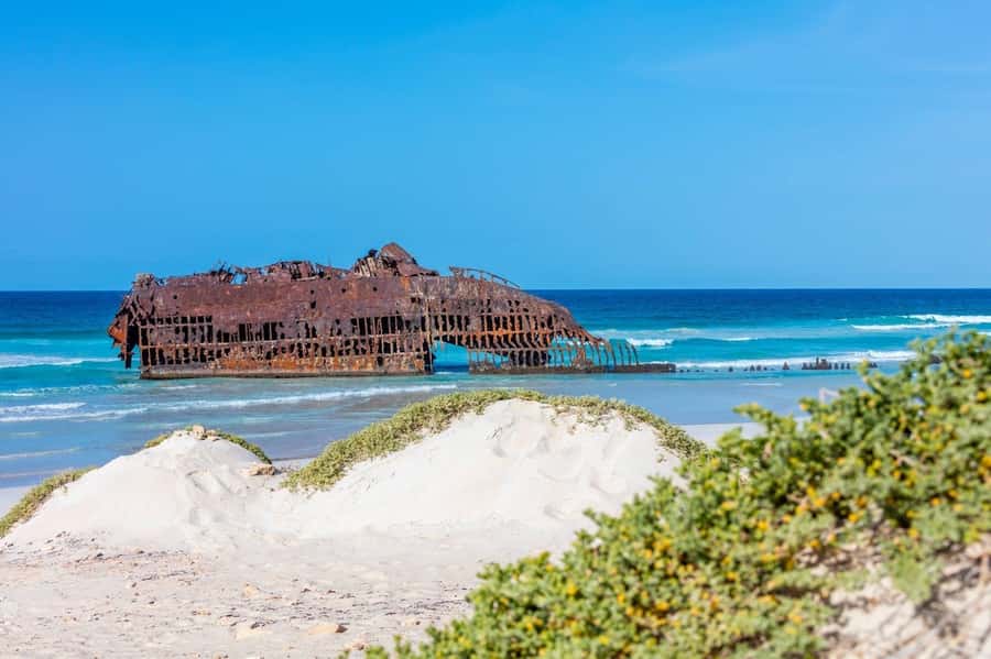 Boa Vista Full Day 4x4 Island Tour with Beachfront Lunch - Cape Verdean lunch beside the sea