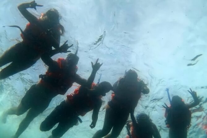 Boat and Snorkel Tour to 5 Islands of Los Arcos - Sea caves and bird sanctuaries
