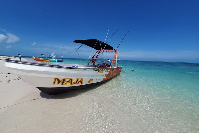 Boat Tour of Three Islands in Holbox with Transportation - How to prepare for the boat and water