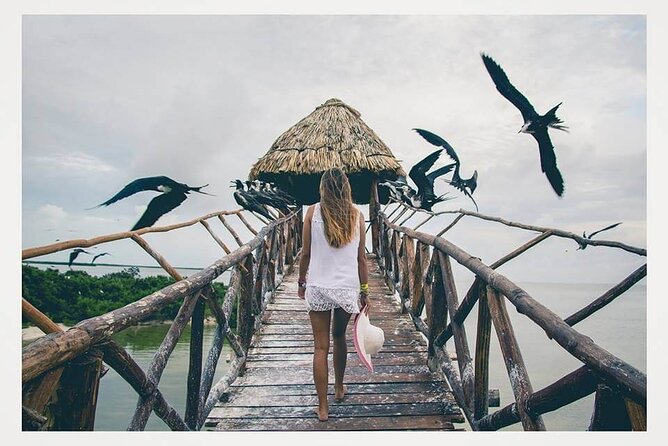 Boat Tour of Three Islands in Holbox with Transportation - Yalahau Lagoon and the MX$100 cenote fee