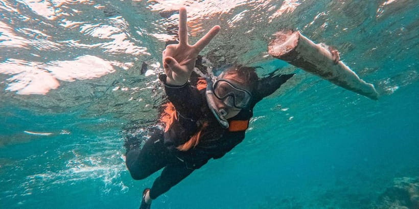 Bohol Dolphin Watching, Balicasag, and Virgin Island Tour - Dolphin watching in Panglao Bay
