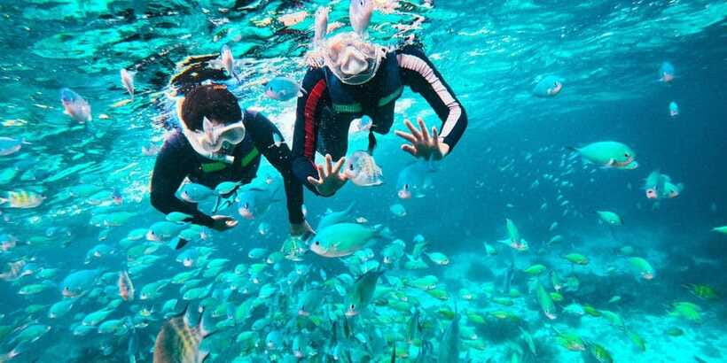 Bohol Dolphin Watching, Balicasag, and Virgin Island Tour - What went well, and what could go wrong