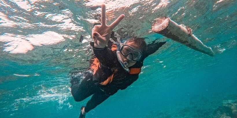 Bohol Dolphin Watching, Balicasag, and Virgin Island Tour - Who will enjoy this tour most?