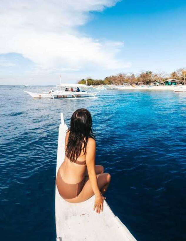 Bohol: Dolphin Watching & Sea Turtle Swim Island Tour - Watching wild dolphins off the Panglao coast