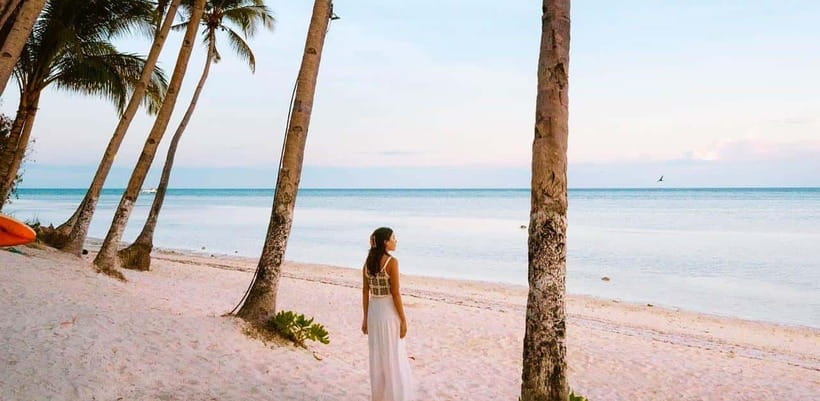 Bohol: Dolphin Watching & Sea Turtle Swim Island Tour - Group size and guide service