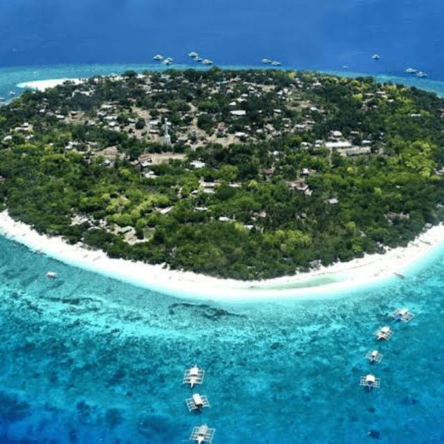 Bohol: Panglao Island Hopping Tour with Snorkeling (Private) - Balicasag Island and its underwater life