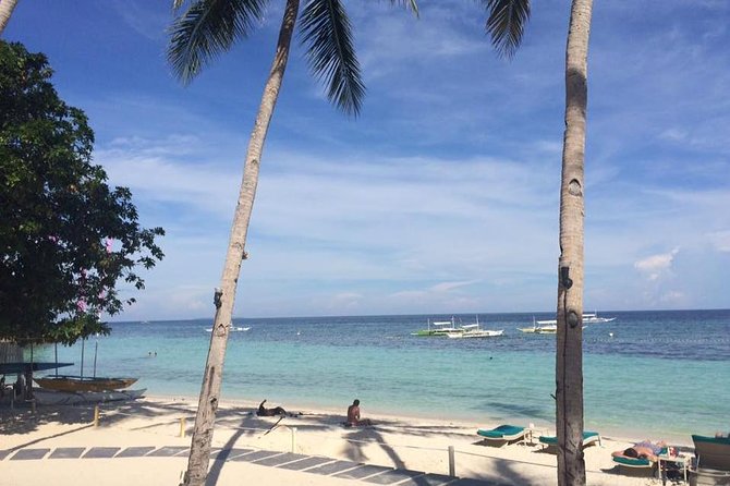 Bohol's Panglao Island Half Day Land & Half Day Island Hopping (Cebu or Bohol) - Balicasag Island and the fish sanctuary