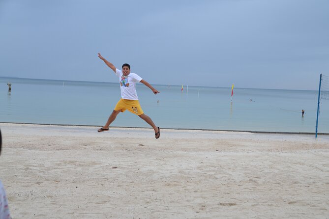 Bohol's Panglao Island Half Day Land & Half Day Island Hopping (Cebu or Bohol) - Bee Farm and the food angle