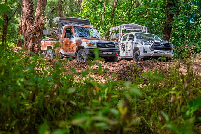 Bora Bora Half Day 4X4 Island Safari Tours - Mount Popoti delivers the main reward
