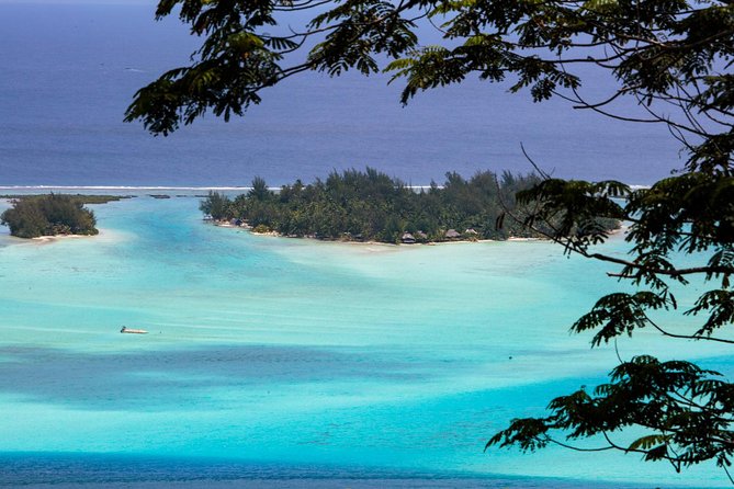 Bora Bora Half Day 4X4 Island Safari Tours - Your guide can shape the entire experience
